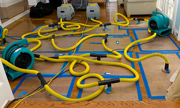 Professional Burst Pipe Water Damage technician working in Presto, PA